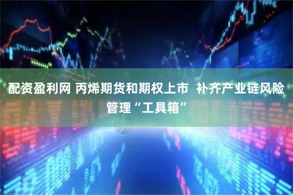 配资盈利网 丙烯期货和期权上市  补齐产业链风险管理“工具箱”