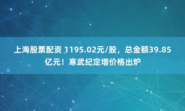 上海股票配资 1195.02元/股，总金额39.85亿元！寒武纪定增价格出炉
