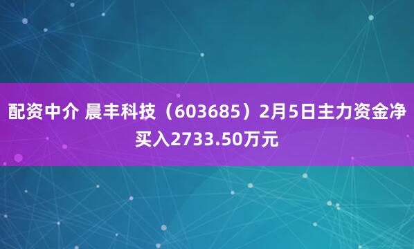配资中介 晨丰科技（603685）2月5日主力资金净买入2733.50万元